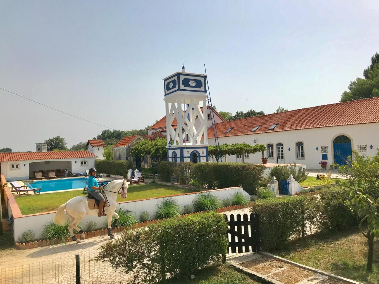 Marchanta Santarém Kültér fotó